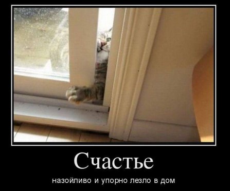 Дача. Укроп-пряная травка.