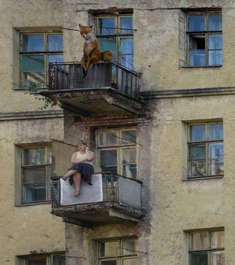 Террасная доска