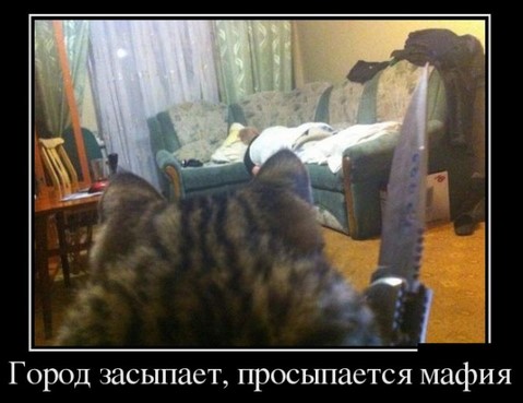 Вазоны на участке