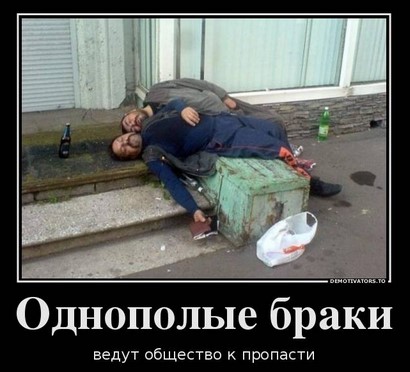Выбор плодовых кустарников